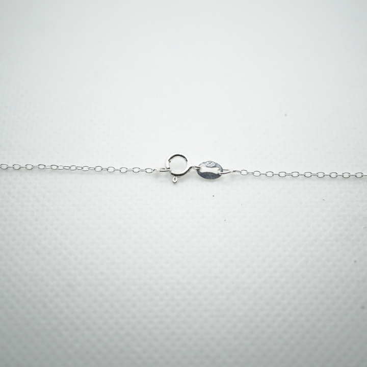 Chaîne maille Forçat Argent sterling 925